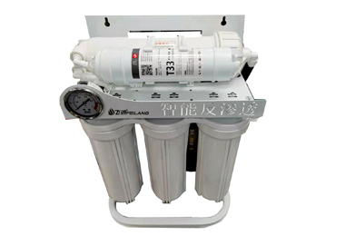 飛浪家用凈水機(jī)FLQ-RO-400B